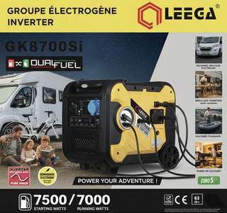 موتور برق دو گانه سوز سایلنت استارتی ۷/۵ کیلو وات برند LEEGA مدل GK8700Si
